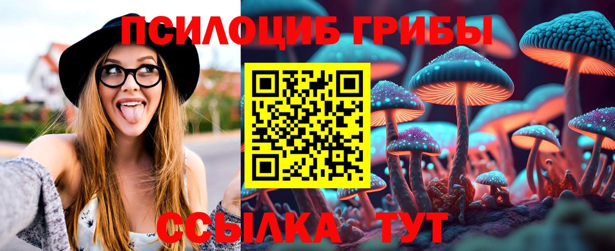 Каменск-Шахтинский  Галлюциногенные грибы прущие грибы  цены   Вход с VPN 