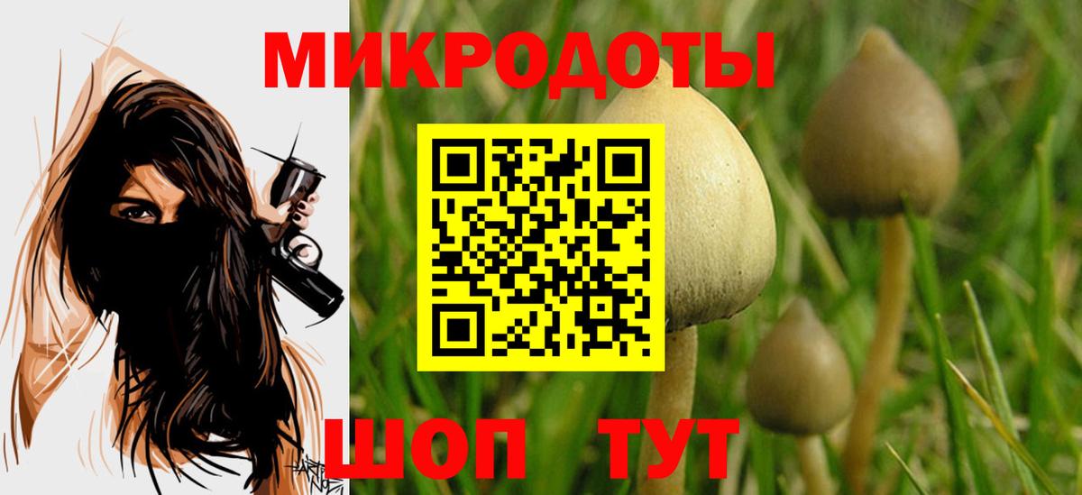 Галлюциногенные грибы мицелий Каменск-Шахтинский